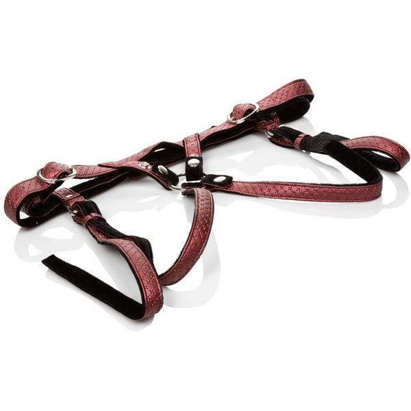 HER ROYAL HARNESS THE REGAL DUCHESS RED