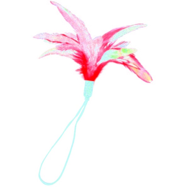 Pleasure Feathers-red(ea)
