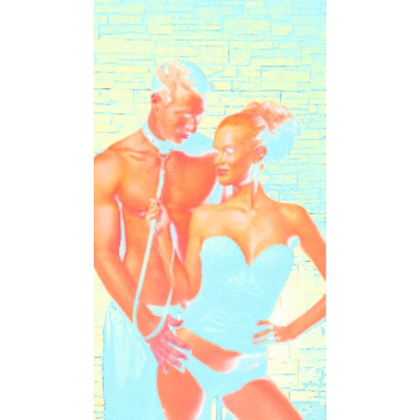 Leather Collar & Leash Set